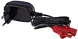 Feber - Cargador - Válido para Baterías De Vehículos Eléctricos De Juguete De Feber, Compatible con Coches, Motos, Quads Y Trimotos, De 6 Voltios Y 1 Amperio, Famosa (800003112)