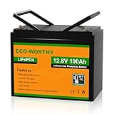 ECO-WORTHY Bateria Litio 12V 100Ah Bateria Lifepo4 con Protección BMS y 4000+ Ciclos, Protección contra Bajas Temperaturas, para Autocaravana, Sistema Placa Solar, Barco, Hogar, Kit Solar, Camping