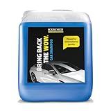 Kärcher Champú para coches detergente 619 5 L (6.295-360.0)