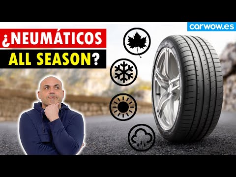 Ventajas de los neumáticos todo clima para tu vehículo