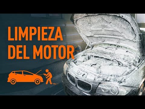 Mantenimiento impecable: Consejos para limpiar tu coche en León