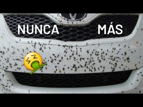 Protege tu coche de los mosquitos con este aparato especializado