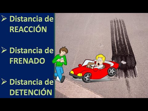 La importancia de la distancia de reacción en la seguridad al volante