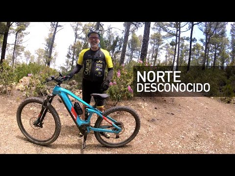 Explora las Rutas en E-Bike por Tenerife con Almauto